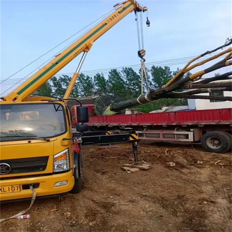 襄城100吨吊车租赁费用怎么算？3大关键因素+省钱技巧全解析